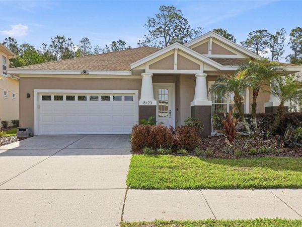 8123 CAMELLA LANE , TAMPA, FL 33647