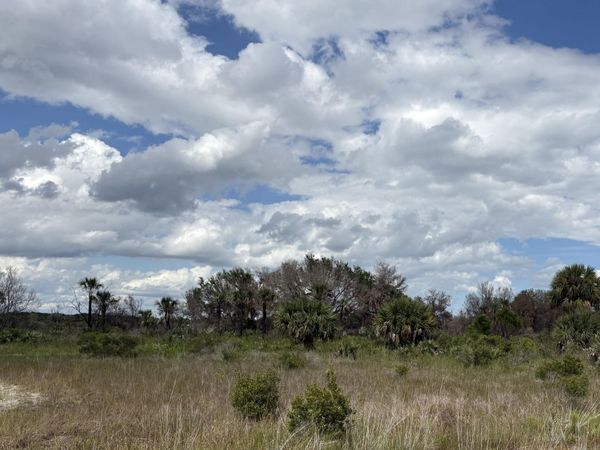 17275 NW 308th Street, Okeechobee, FL 34972