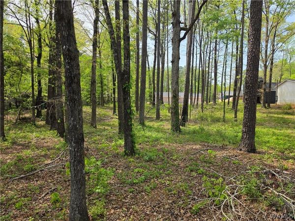 Lot 3 Thompson Boulevard, McCalla, AL 35111