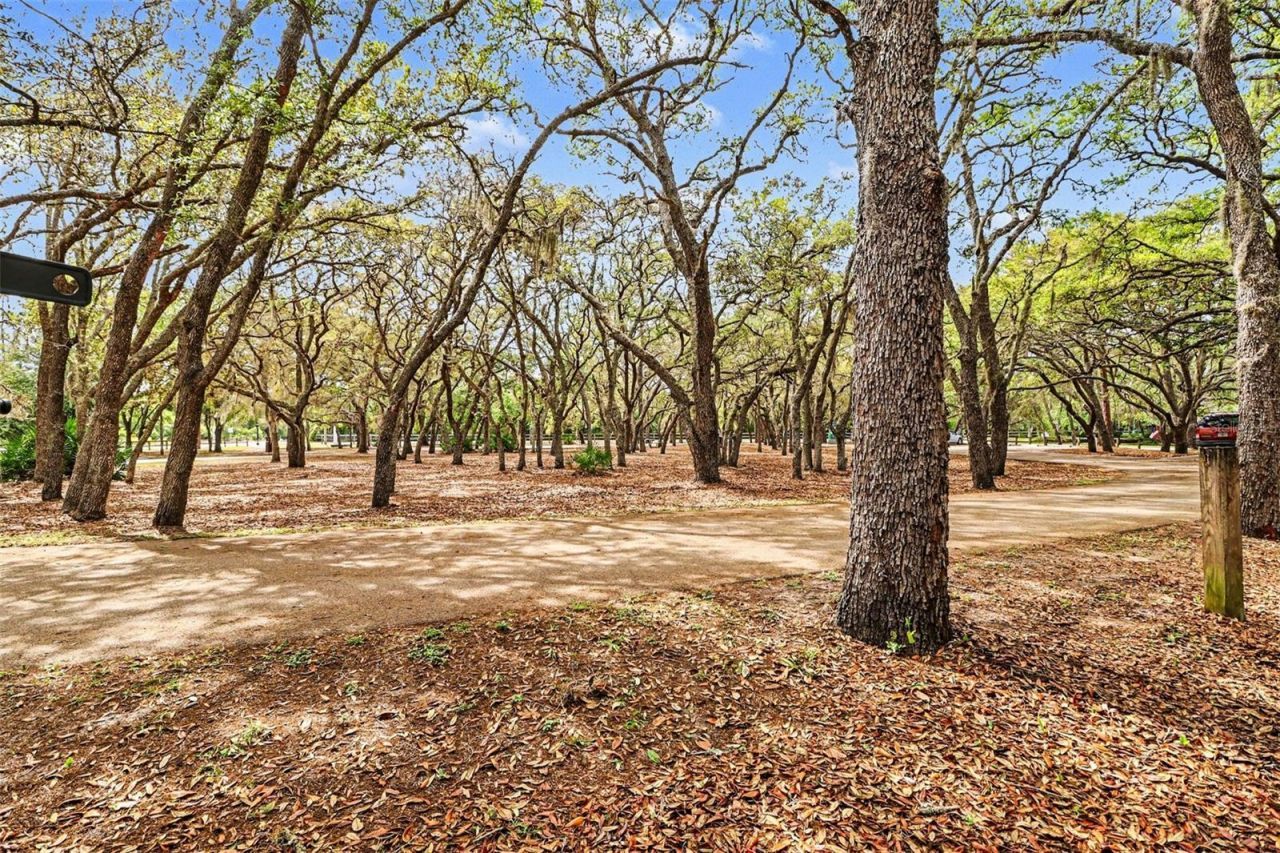 100 Festive Court, Chuluota, FL 32766 Photo