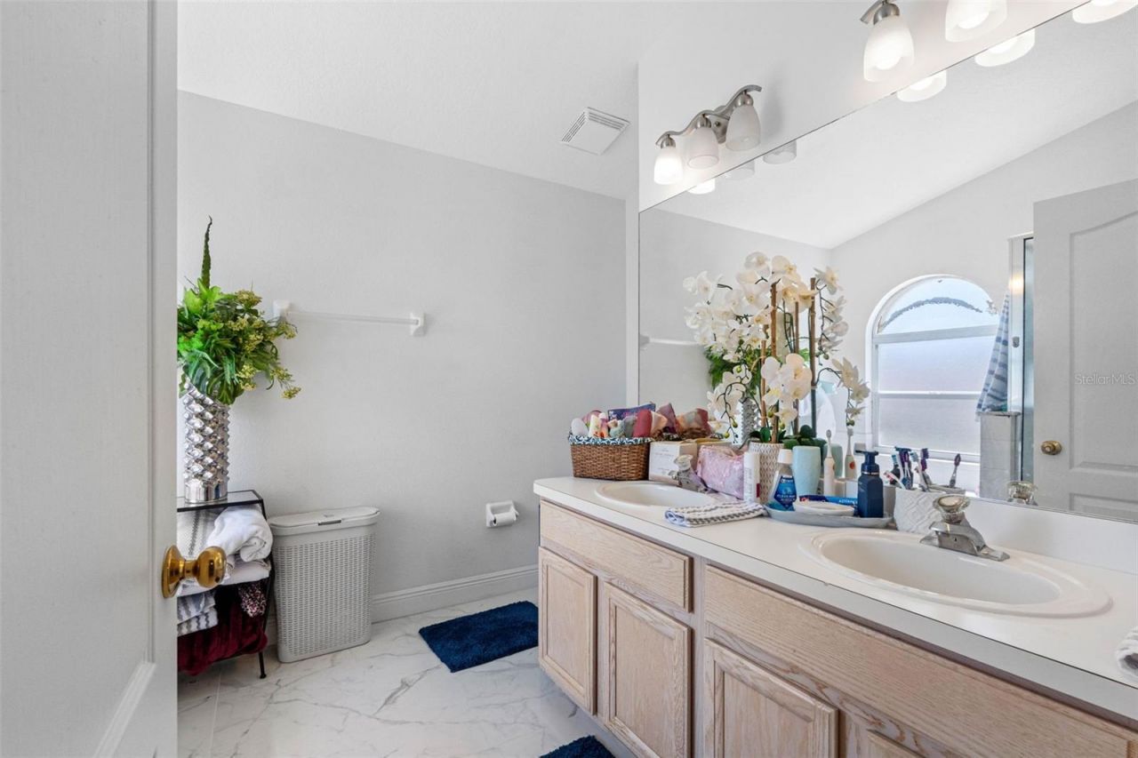 3137 Castle Rock Circle, Land O Lakes, FL 34639 Photo