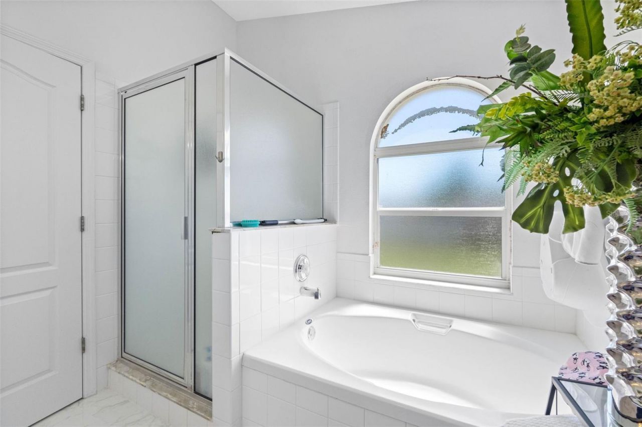 3137 Castle Rock Circle, Land O Lakes, FL 34639 Photo