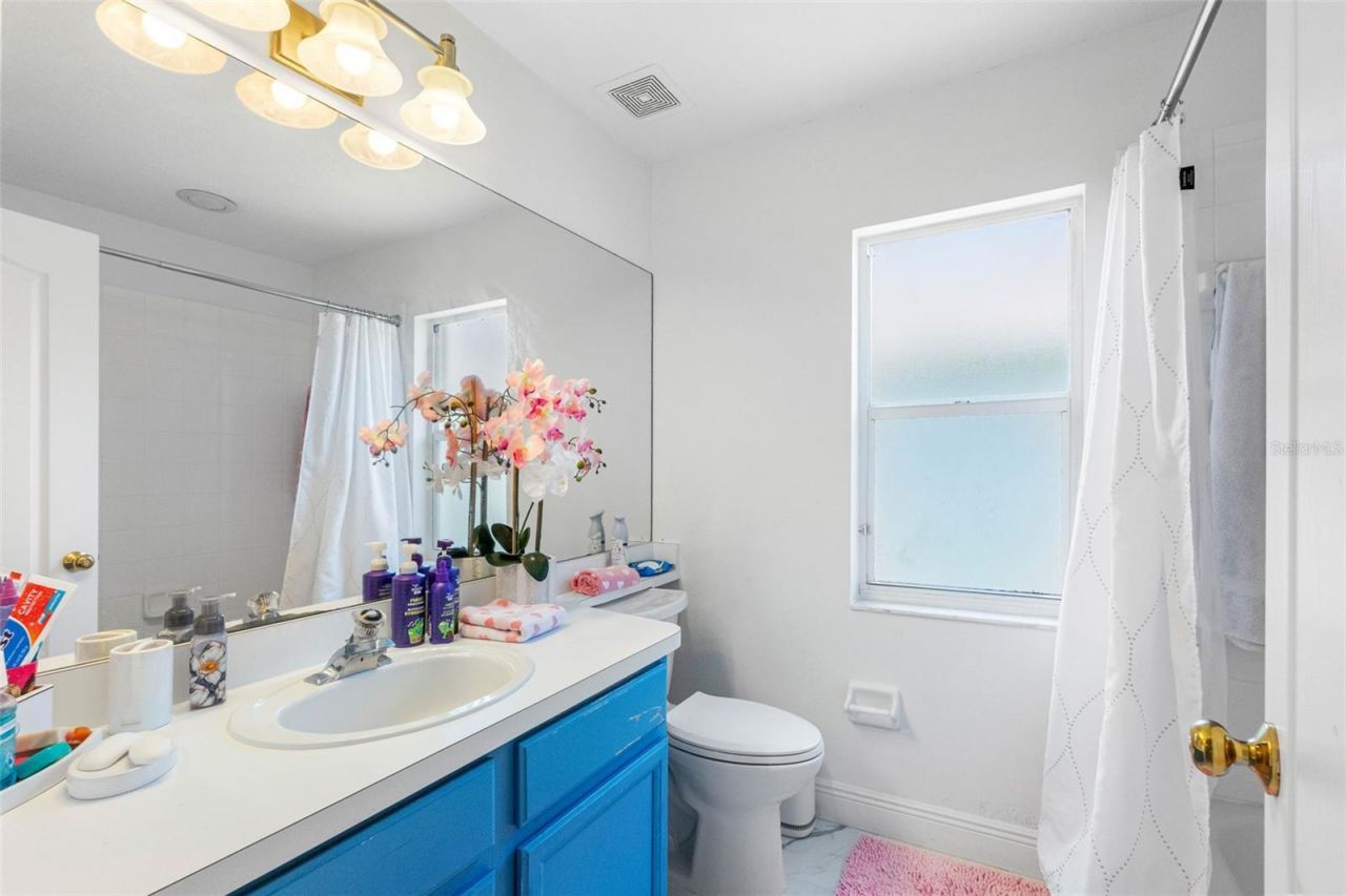 3137 Castle Rock Circle, Land O Lakes, FL 34639 Photo