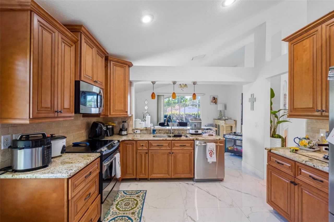 3137 Castle Rock Circle, Land O Lakes, FL 34639 Photo