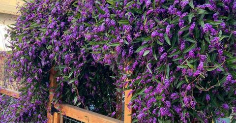 723 Oliver Ct, Folsom, CA 95630 Photo