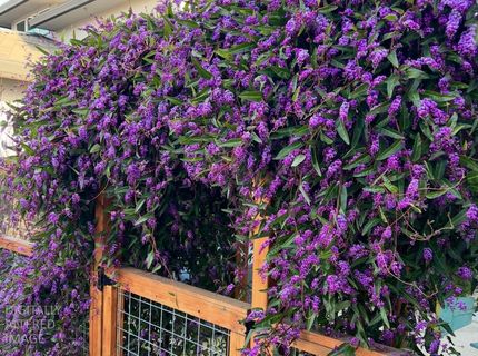 723 Oliver Ct, Folsom, CA 95630 Photo