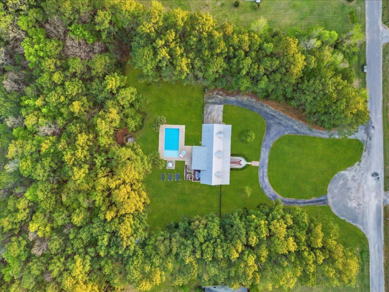 1217 Saddlehorn Road Photo 33