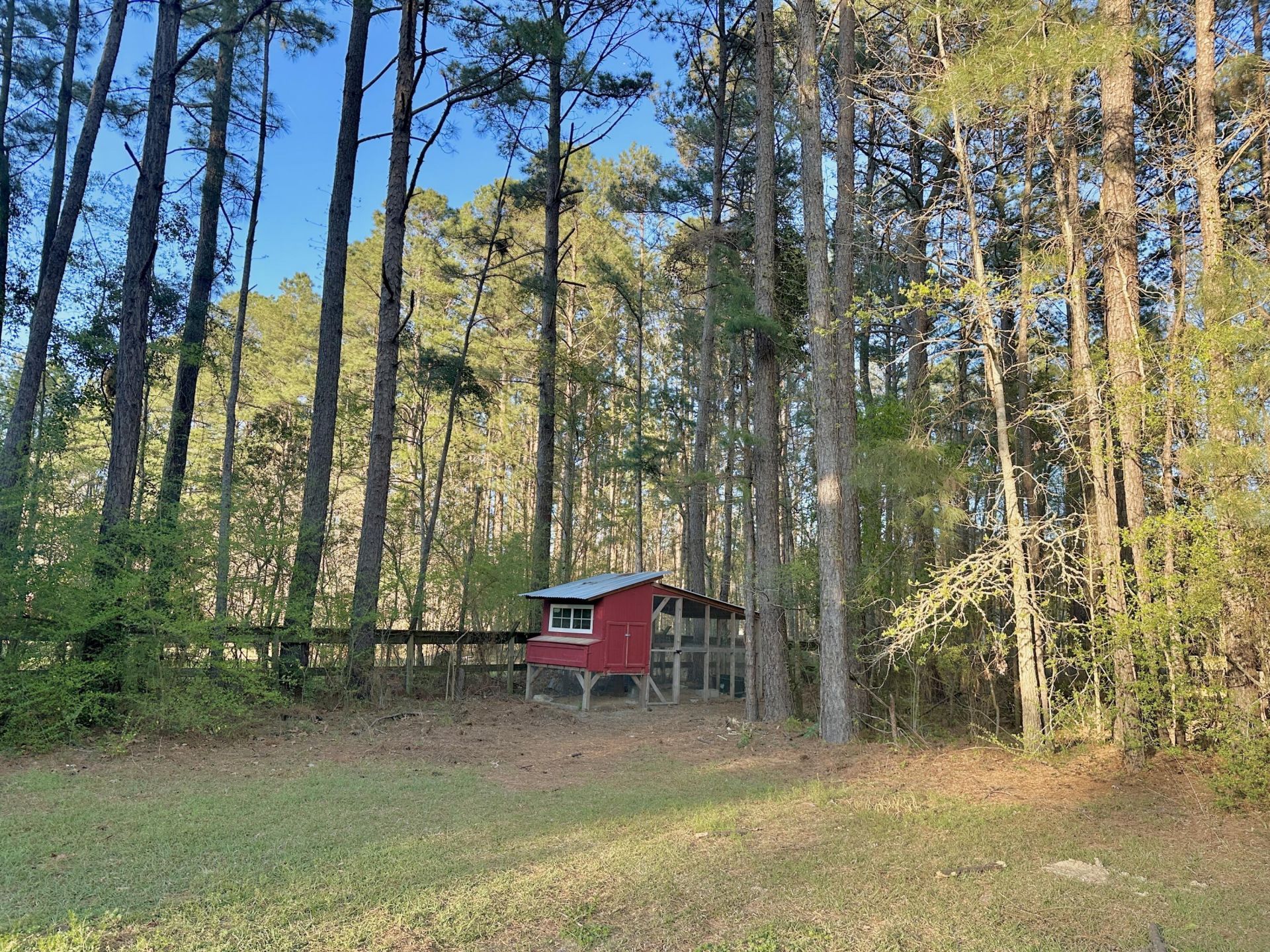 1217 Saddlehorn Road Photo 35