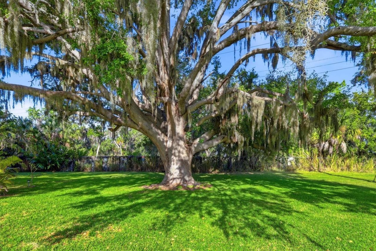 1419 41st Avenue E, Ellenton, FL 34222 Photo