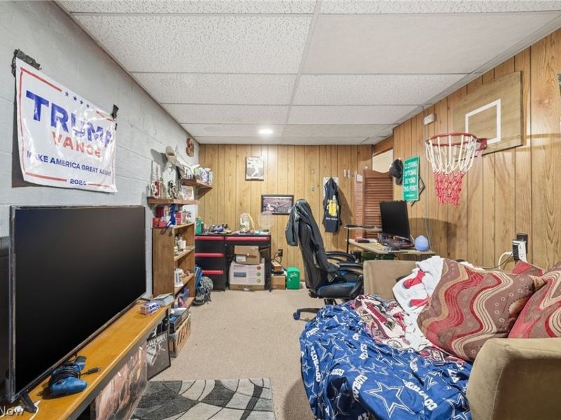 1409 Township Road 523, Ashland, OH 44805 Photo 24