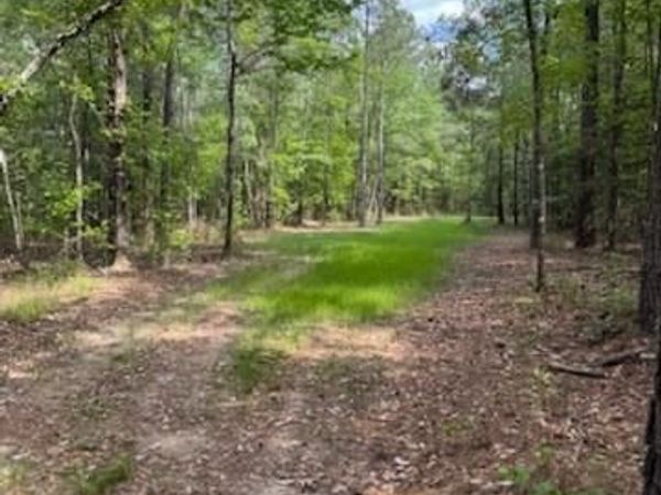 0 Gordy Road, Tibbie, AL 36583