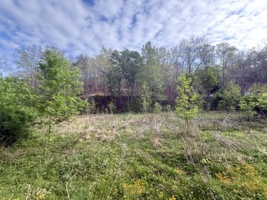 99999 Walling Road, Irvine, KY 40336