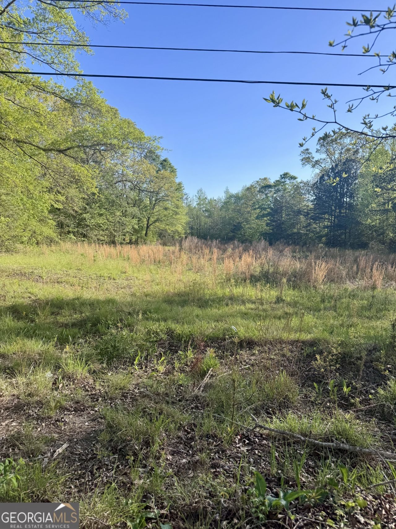 0 Susie Pope Rd, Buchanan, GA 30113 Main Photo