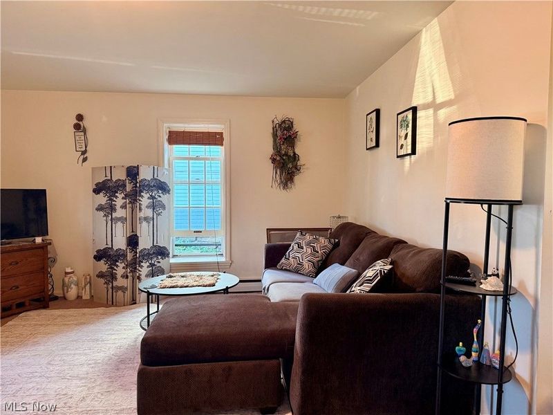 6436 Kinsman Nickerson Road, Kinsman, OH 44428 Photo 22