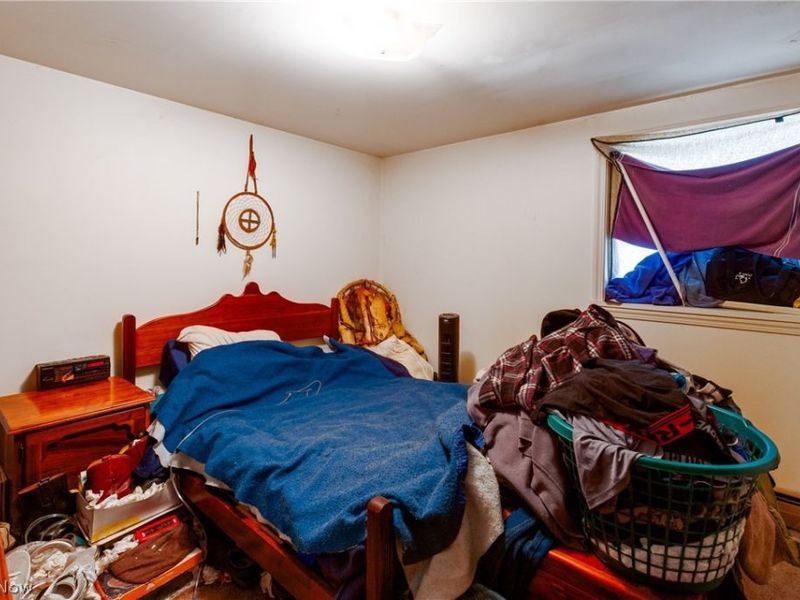 6436 Kinsman Nickerson Road, Kinsman, OH 44428 Photo 30