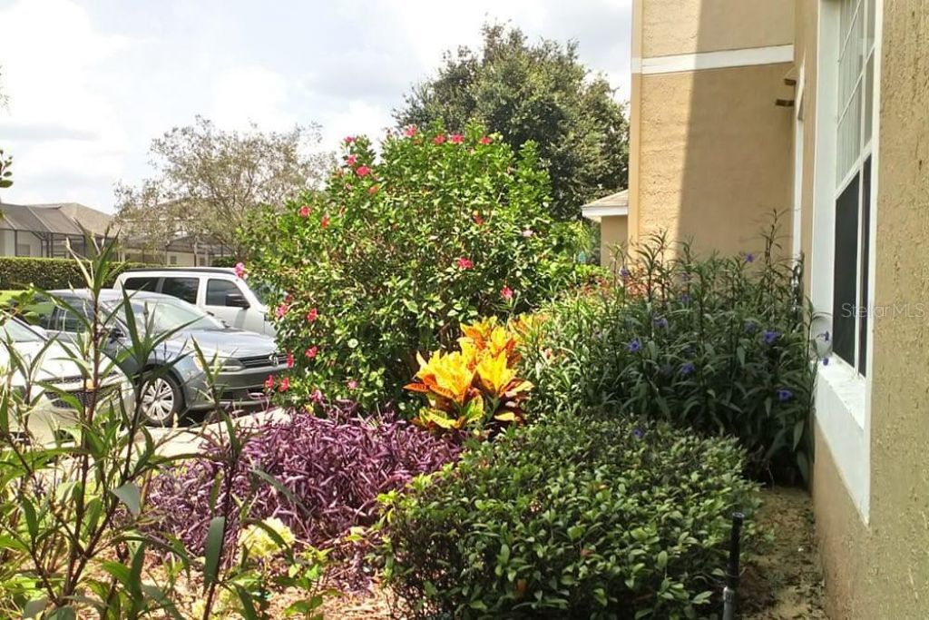 2307 Butterfly Palm Way , Unit 102, Kissimmee, FL 34747 Photo