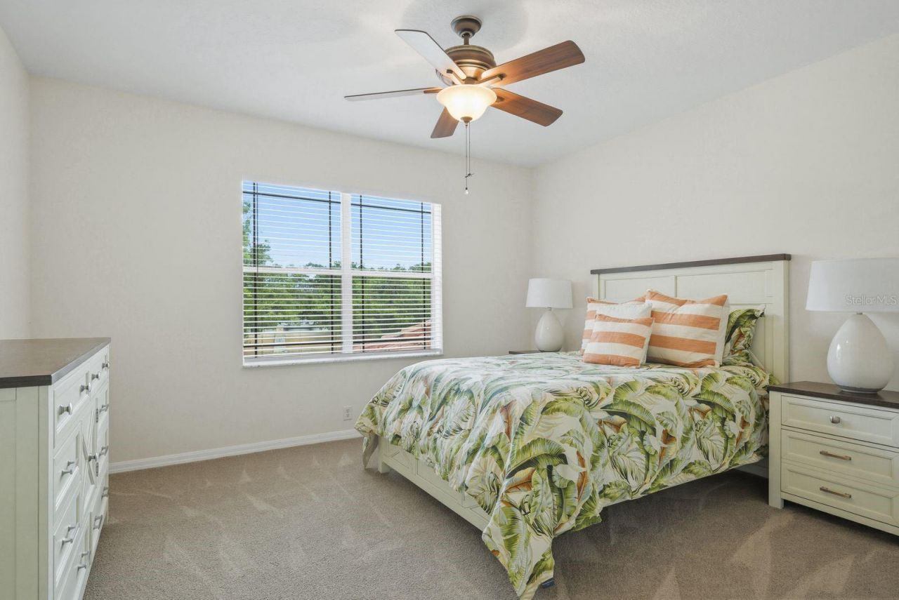 9103 Creedmoor Lane , New Port Richey, FL 34654 Photo