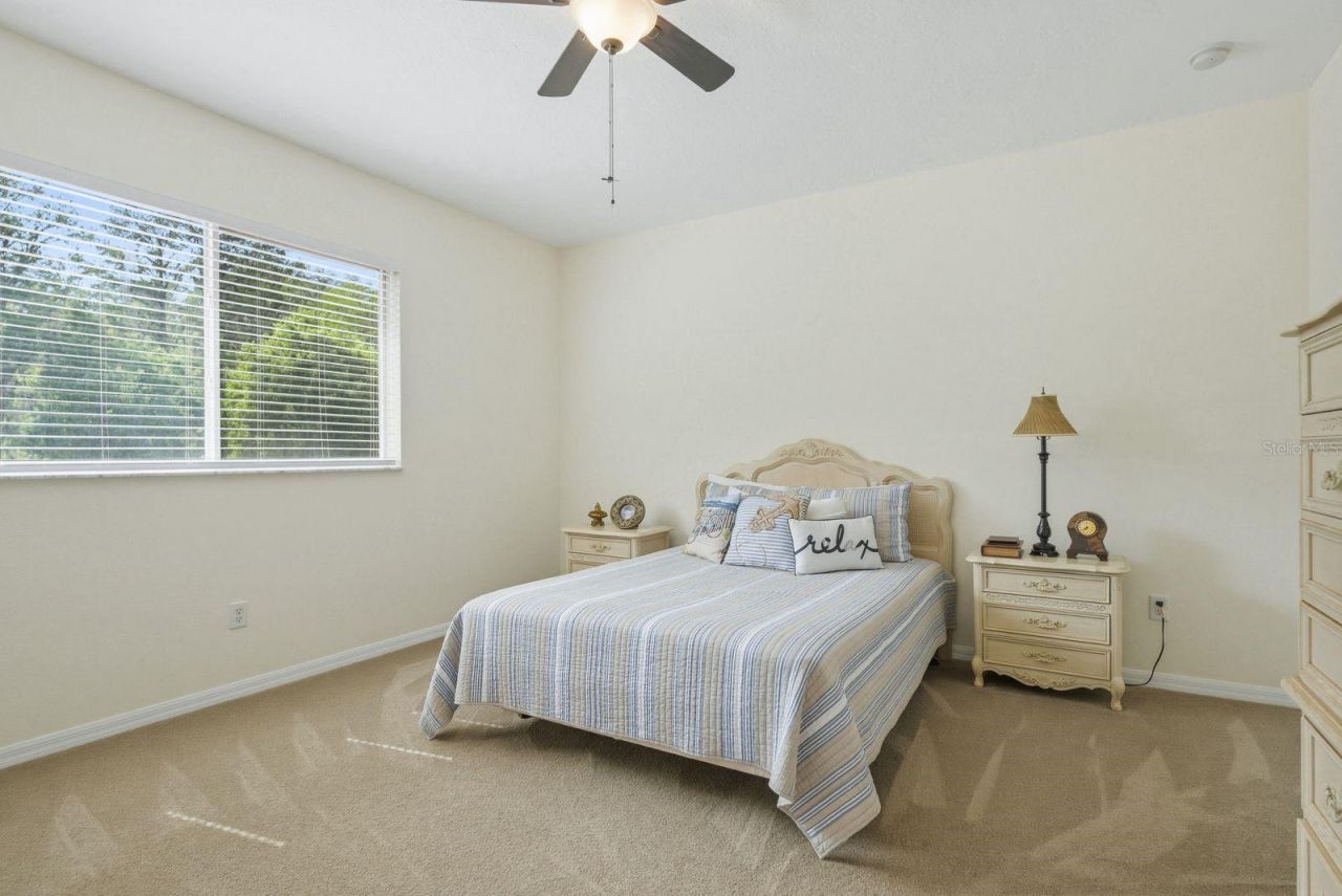 9103 Creedmoor Lane , New Port Richey, FL 34654 Photo