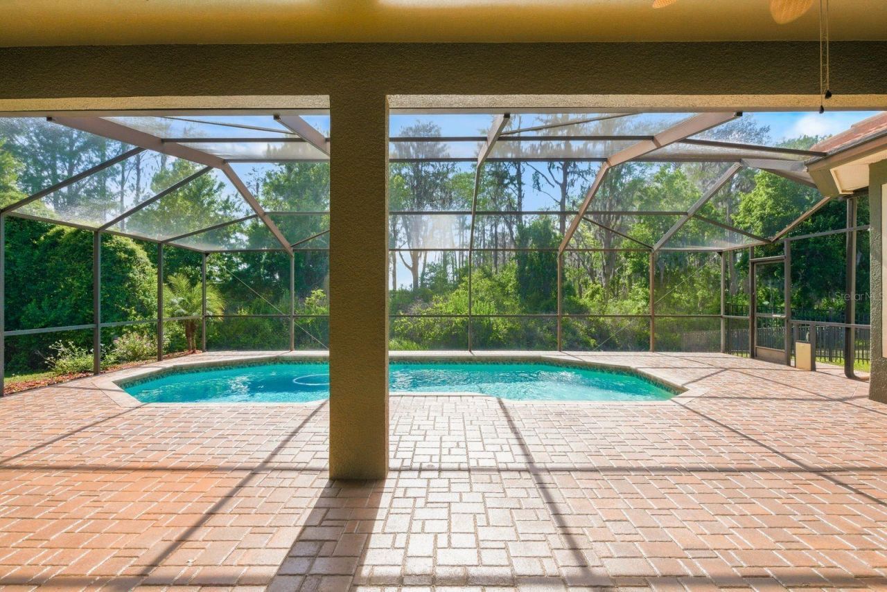 9103 Creedmoor Lane , New Port Richey, FL 34654 Photo