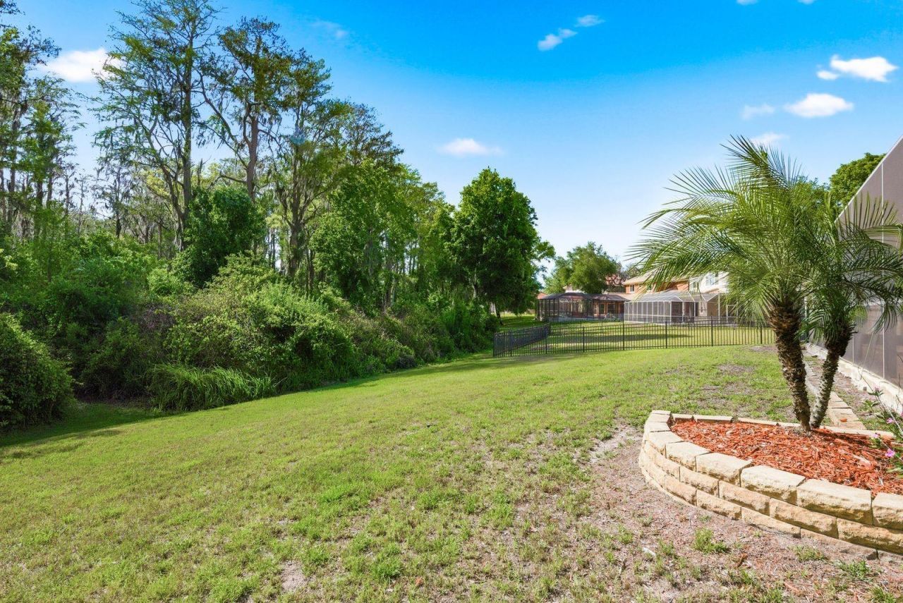 9103 Creedmoor Lane , New Port Richey, FL 34654 Photo