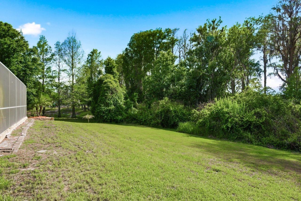 9103 Creedmoor Lane , New Port Richey, FL 34654 Photo