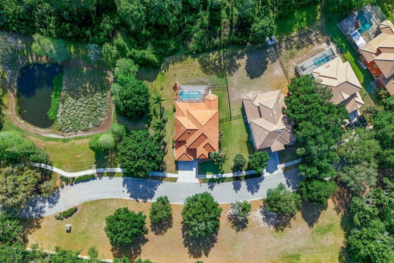 9103 Creedmoor Lane , New Port Richey, FL 34654 Photo