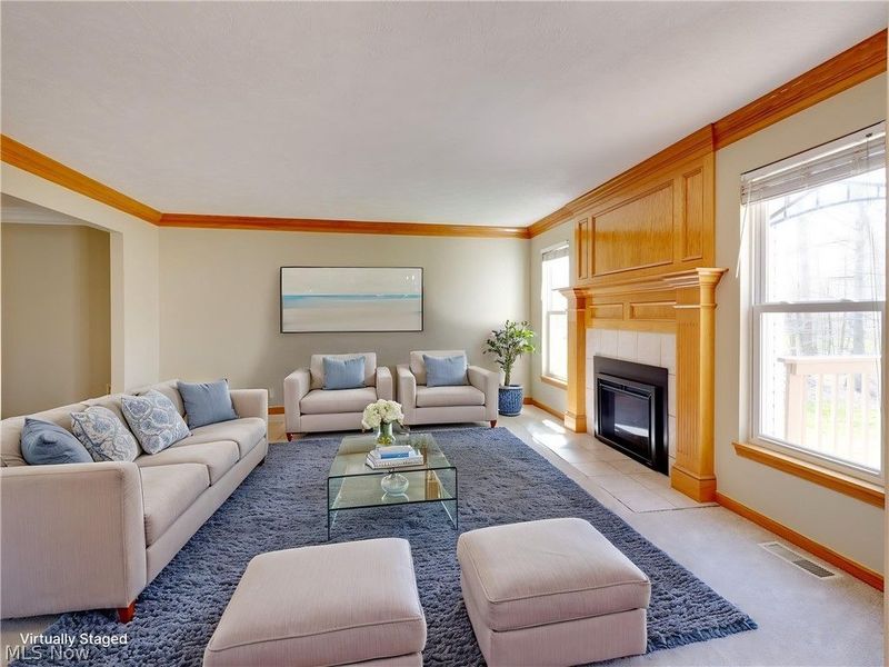 1201 Farmcote Circle, Medina, OH 44256 Photo 19