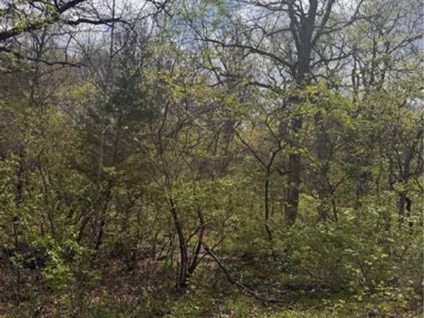 Lot 73 - 76 Green Forest Way, Oak Grove, MO 64075