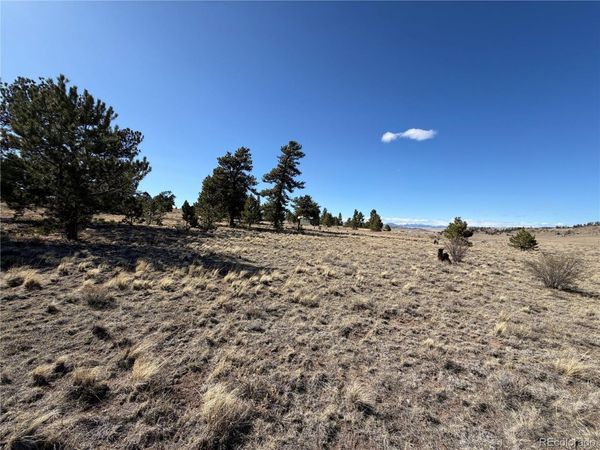 616 Guipago Trail , Hartsel, CO 80449
