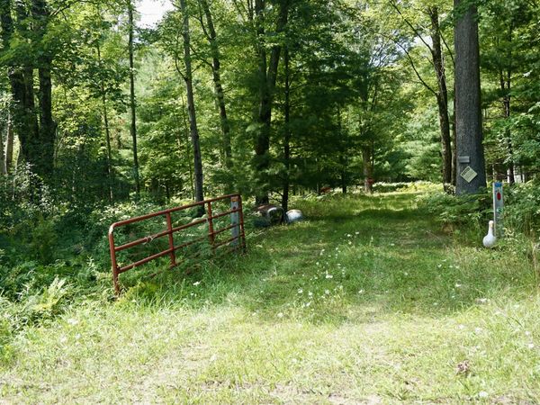 3077 S Tyndall Road, Branch, MI 49402