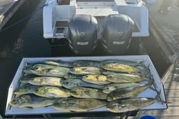 1880 Andell Bluff photo 4