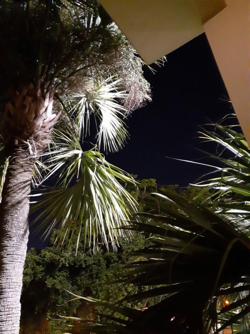 8415 SW 107th Ave, Unit 238W, Miami, FL 33173 Photo