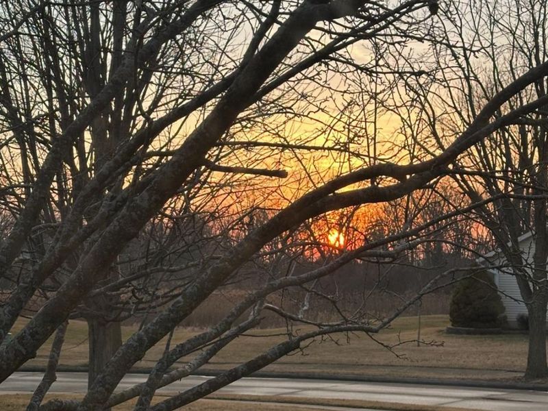 455 Mill Pond, Sandusky, OH 44870 Photo 53