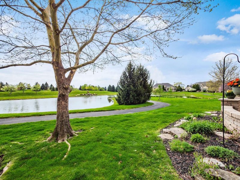 8304 Dolman Drive, Powell, OH 43065 Photo 88