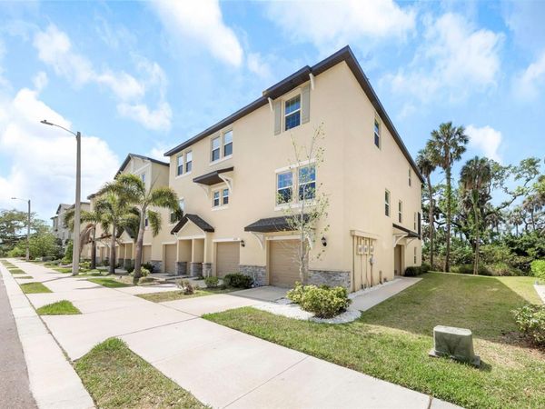 4732 TUSCAN LOON DRIVE , TAMPA, FL 33619