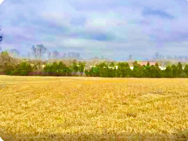 0 N Old Mt Juliet Rd, Mount Juliet, TN 37122