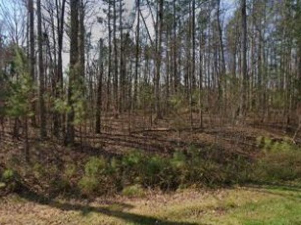 3990 Fouts Drive, Cumming, GA 30028