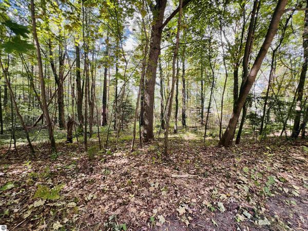 North Boulevard, Cadillac, MI 49601