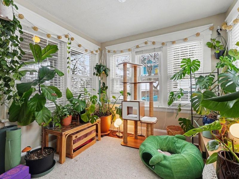 3509 Tarpis Avenue, Cincinnati, OH 45208 Photo 19