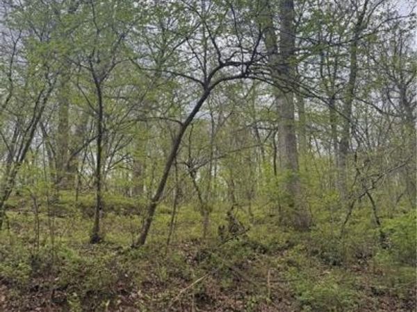 Lot 47-49 Park Lane, Oak Grove, MO 64075