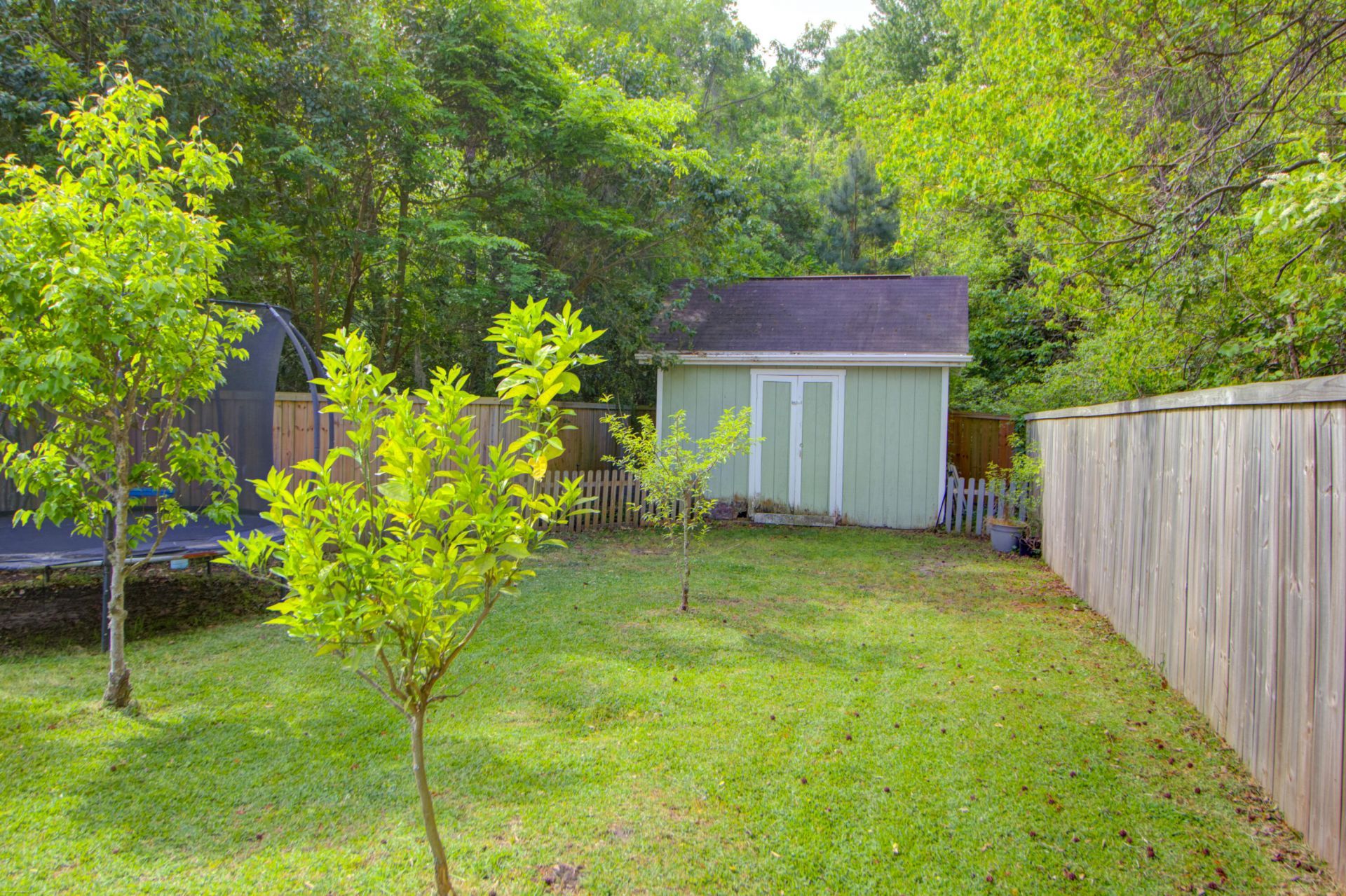 41 N Basilica Avenue Photo 50