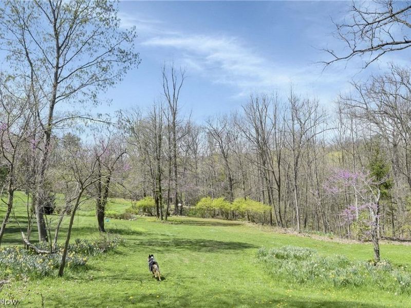 4004 Cook Road, Medina, OH 44256 Photo 44