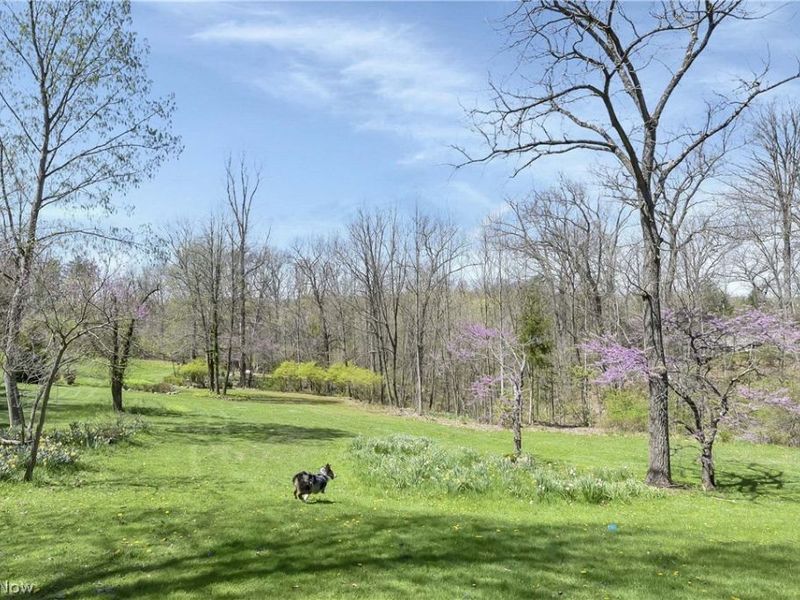 4004 Cook Road, Medina, OH 44256 Photo 45