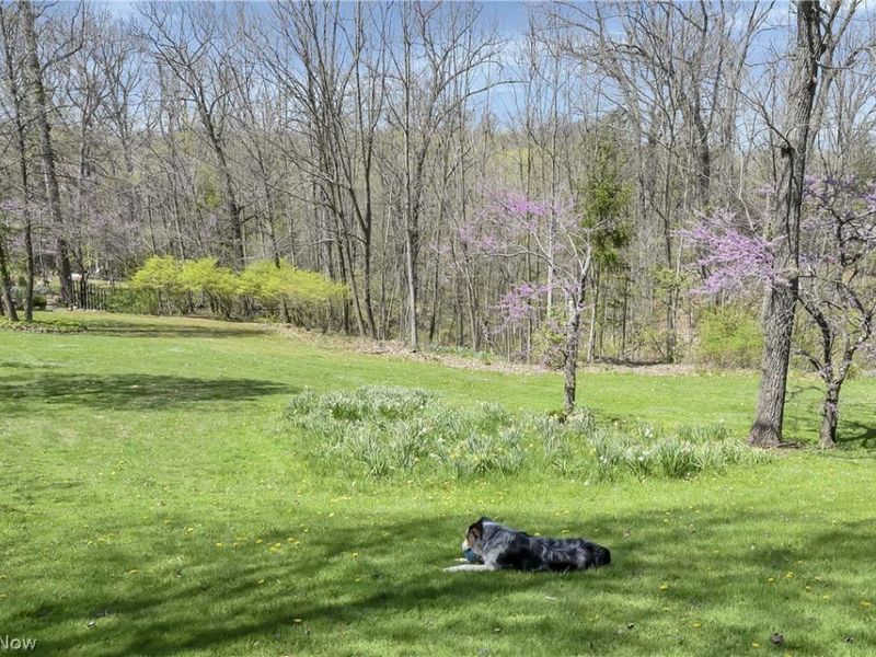 4004 Cook Road, Medina, OH 44256 Photo 46