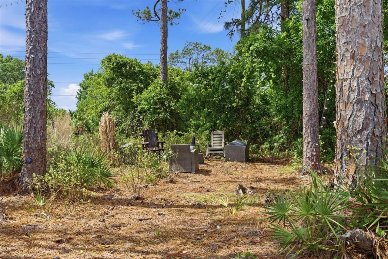 4529 Caesar Avenue, Orlando, FL 32833 Photo