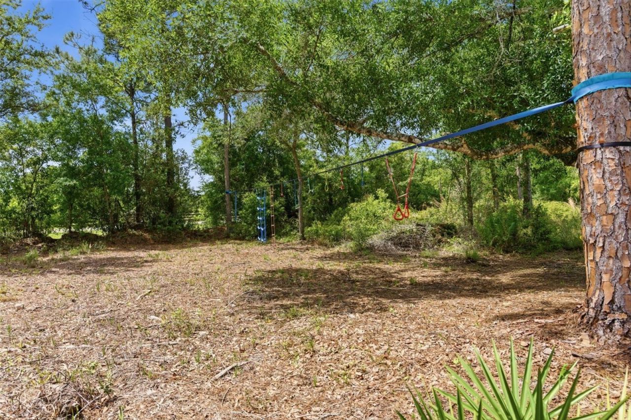 4529 Caesar Avenue, Orlando, FL 32833 Photo