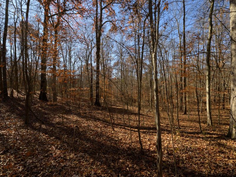 0 Morning Star Road, Racine, OH 45771 Photo 11