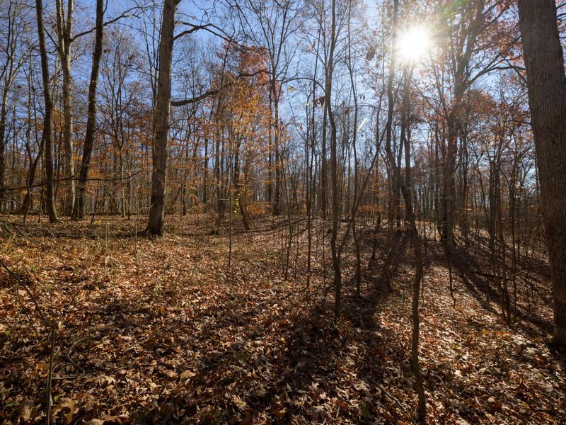 0 Morning Star Road, Racine, OH 45771 Photo 12