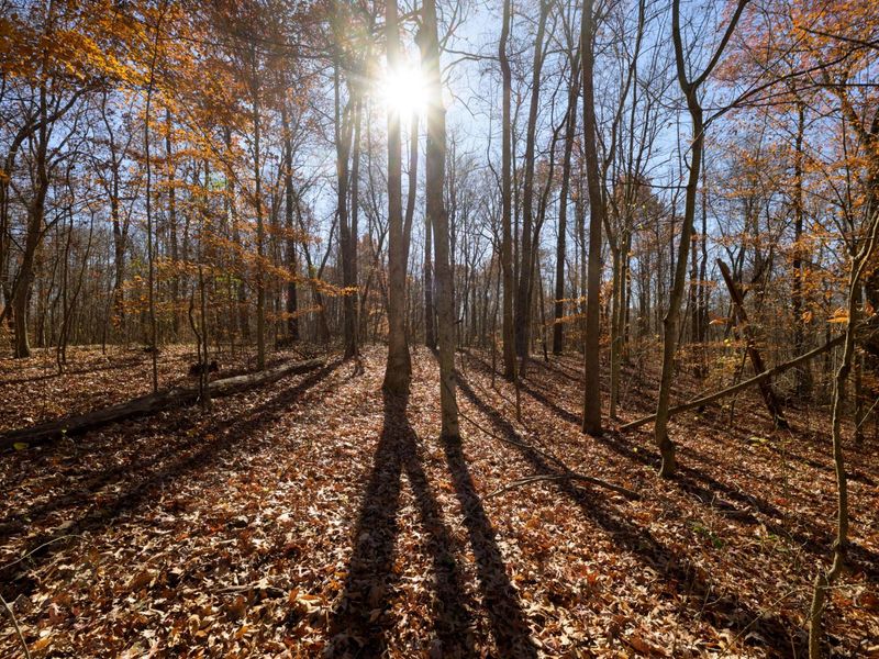 0 Morning Star Road, Racine, OH 45771 Photo 13