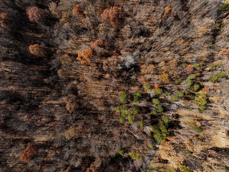 0 Morning Star Road, Racine, OH 45771 Photo 14